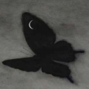 美女按摩偷拍视频一区二区
