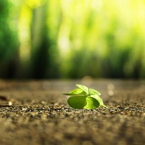 美女按摩偷拍视频一区二区
